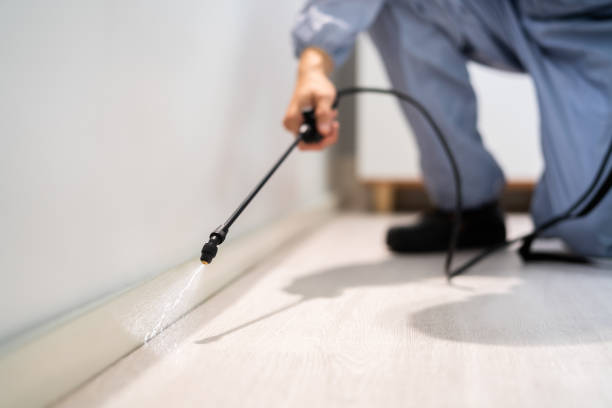 Licensed Termite Control service in Newton, IL - Show Me Pest Control